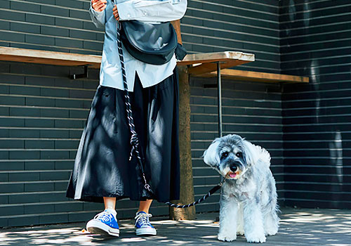 Rome Design Awards Winner - GRIT INC - WAGY