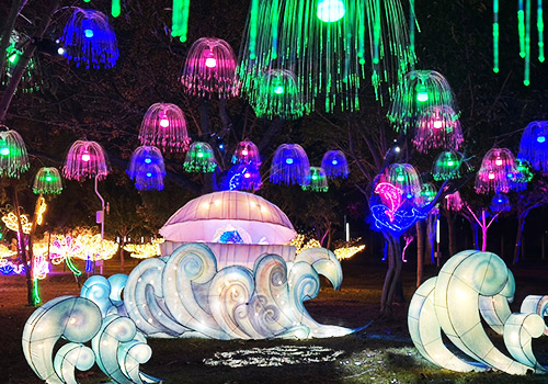 Rome Design Awards Winner - LightUp Life Co., Ltd. - 2025 Central Taiwan Lantern Festival- Snake Draws a Story