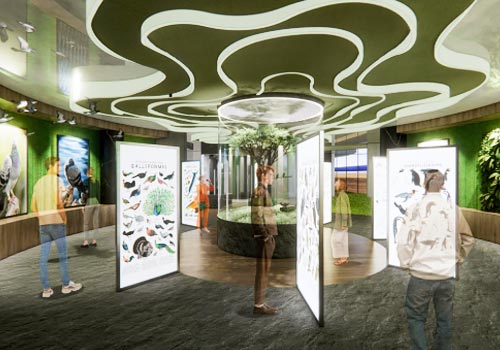 Rome Design Awards Winner - China University of Technology - Ecological Collection